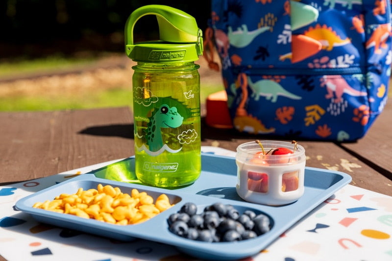 Nalgene product image: 12oz On-The-Fly Kids Lock-Top Bottle with Graphics R8 — 12oz On-The-Fly Kids Lock-Top Bottle with Graphics